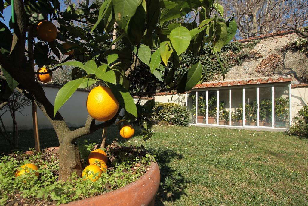 Il Diospero B&B Florence Exterior photo